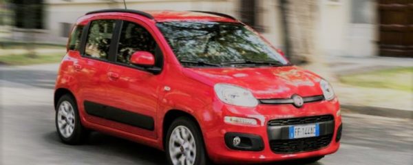fiat panda